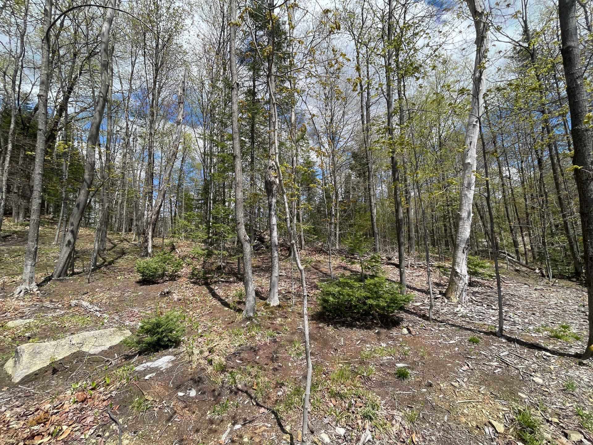 Terre/Terrain