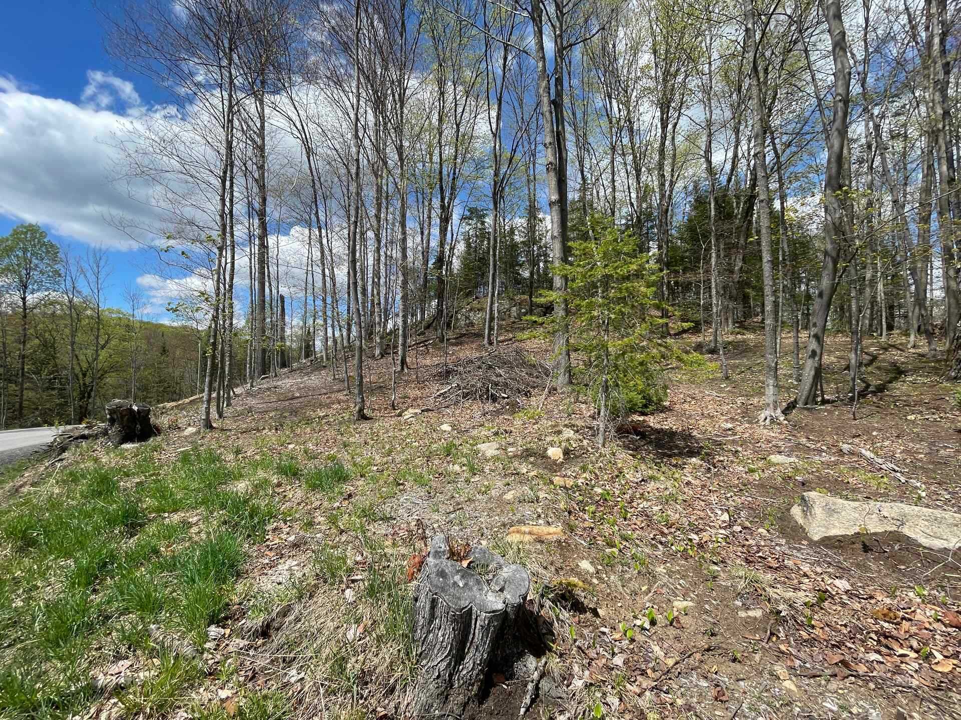 Land/Lot