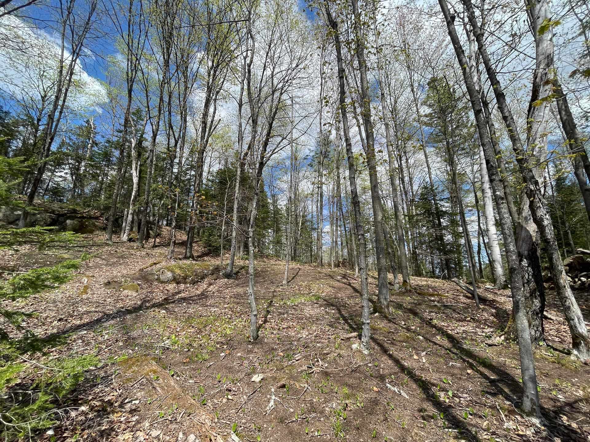Terre/Terrain