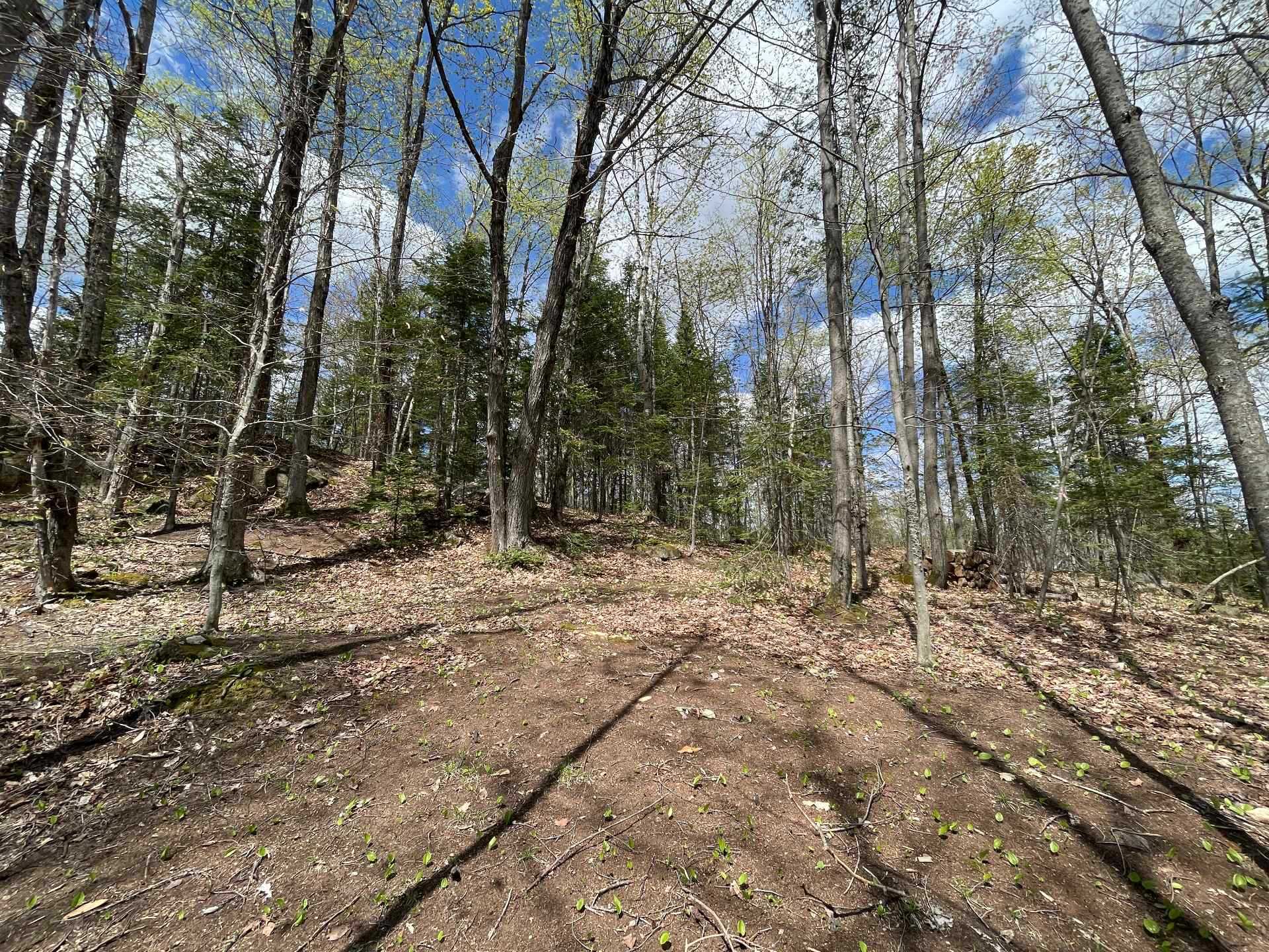 Terre/Terrain