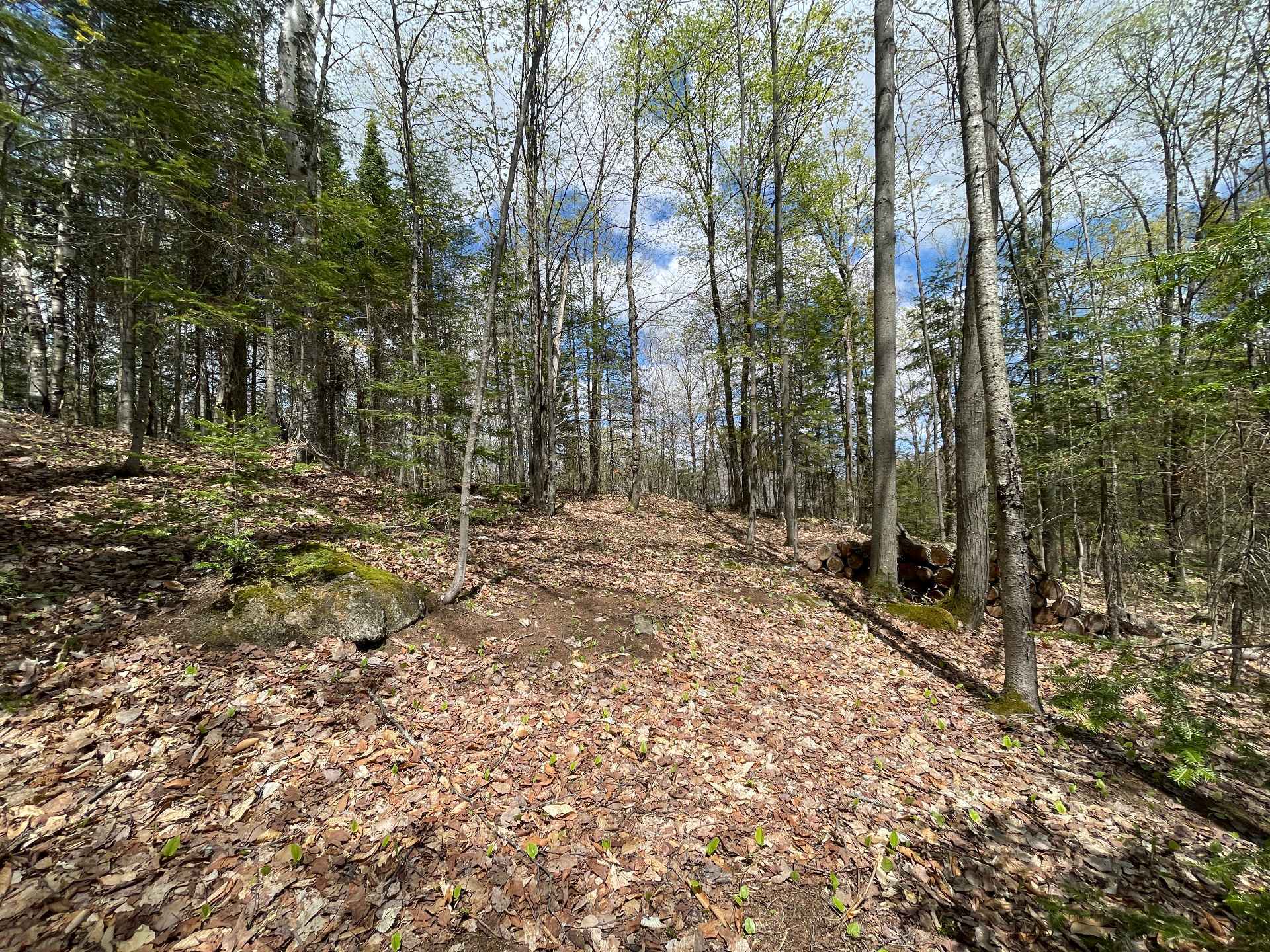 Terre/Terrain