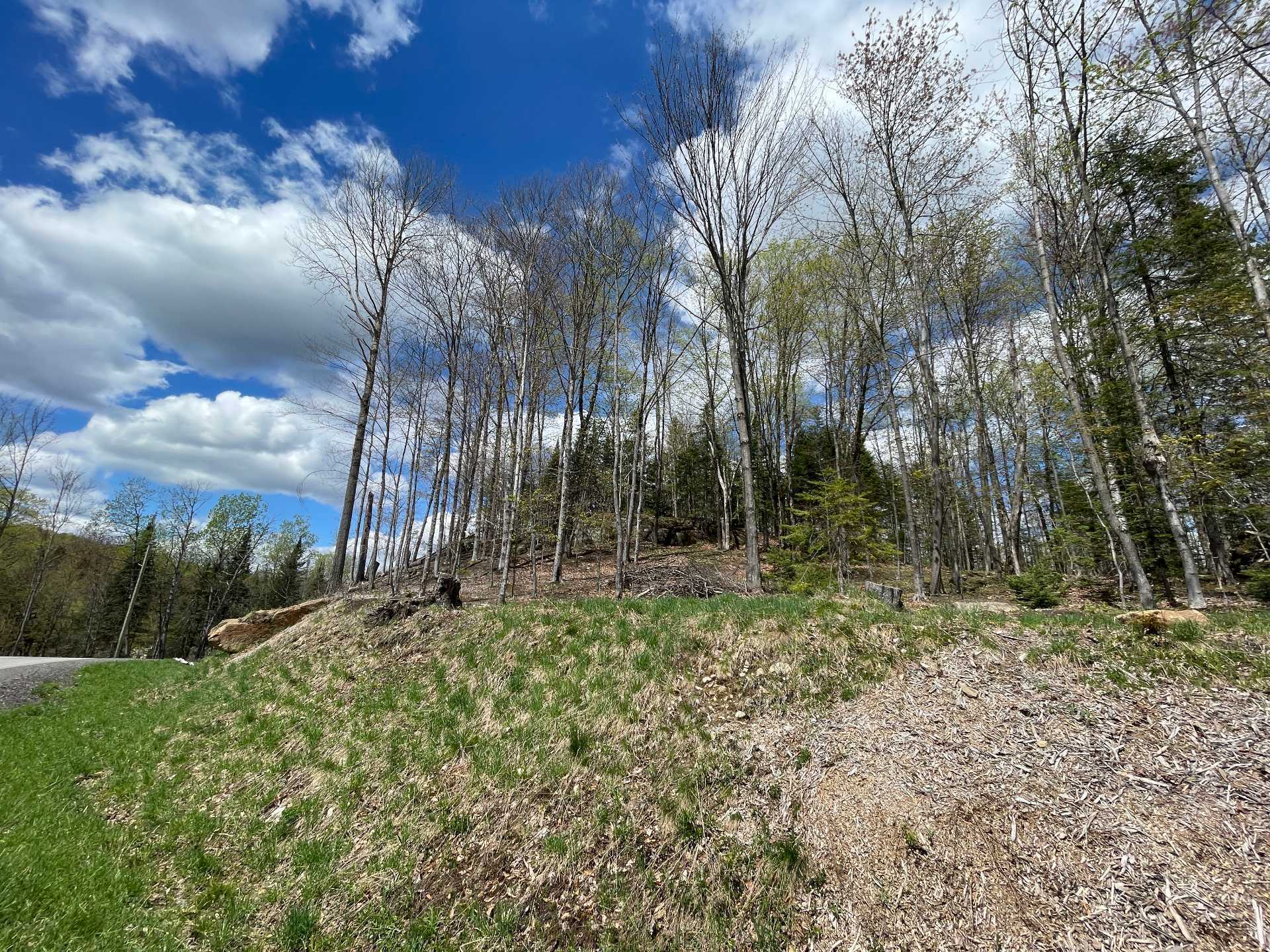 Terre/Terrain