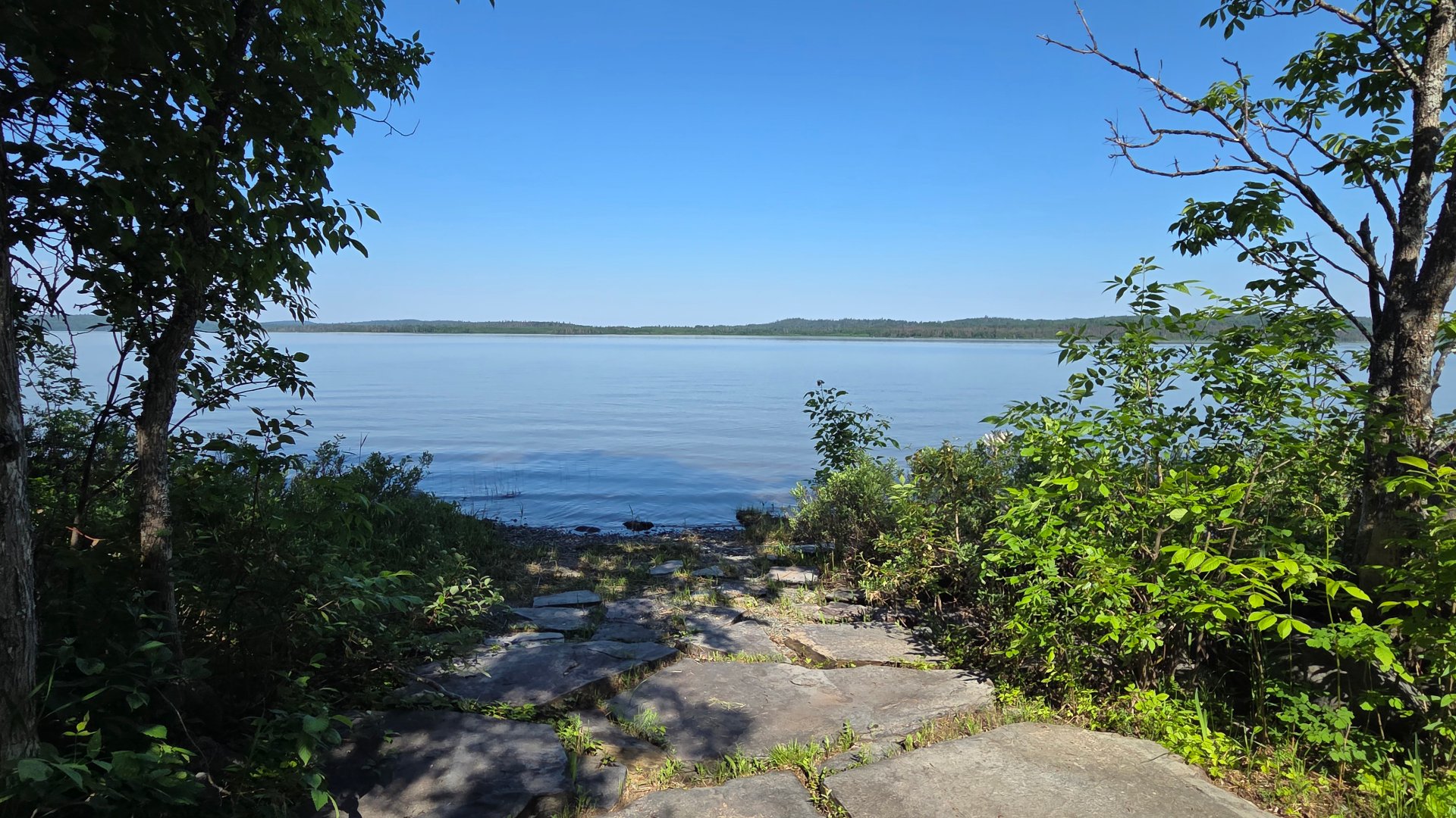Vue sur l'eau