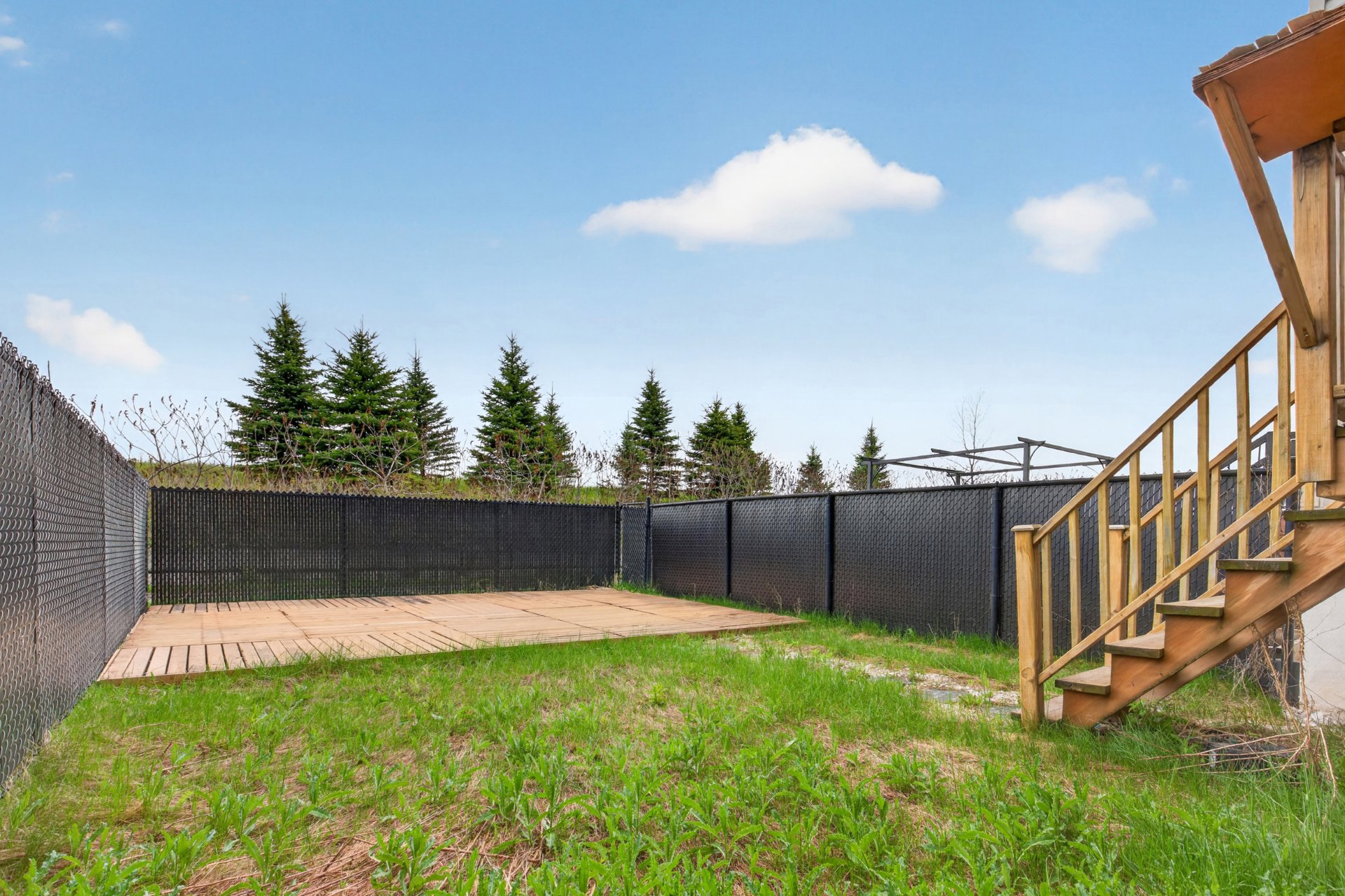 Backyard