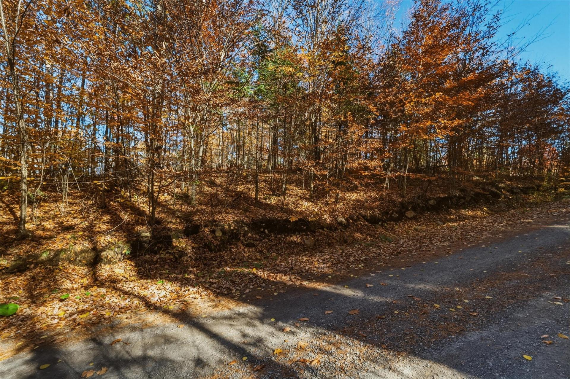 Land/Lot