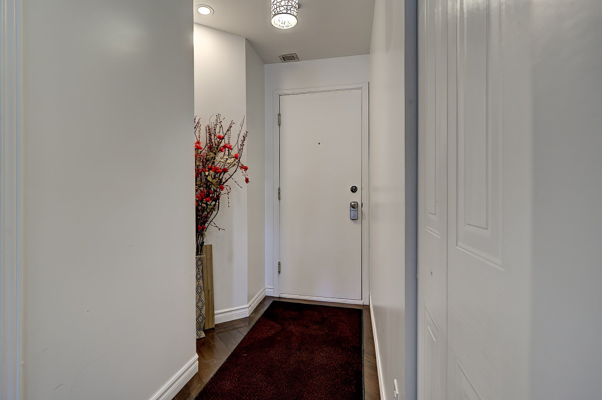 Hall d'entrée/Vestibule