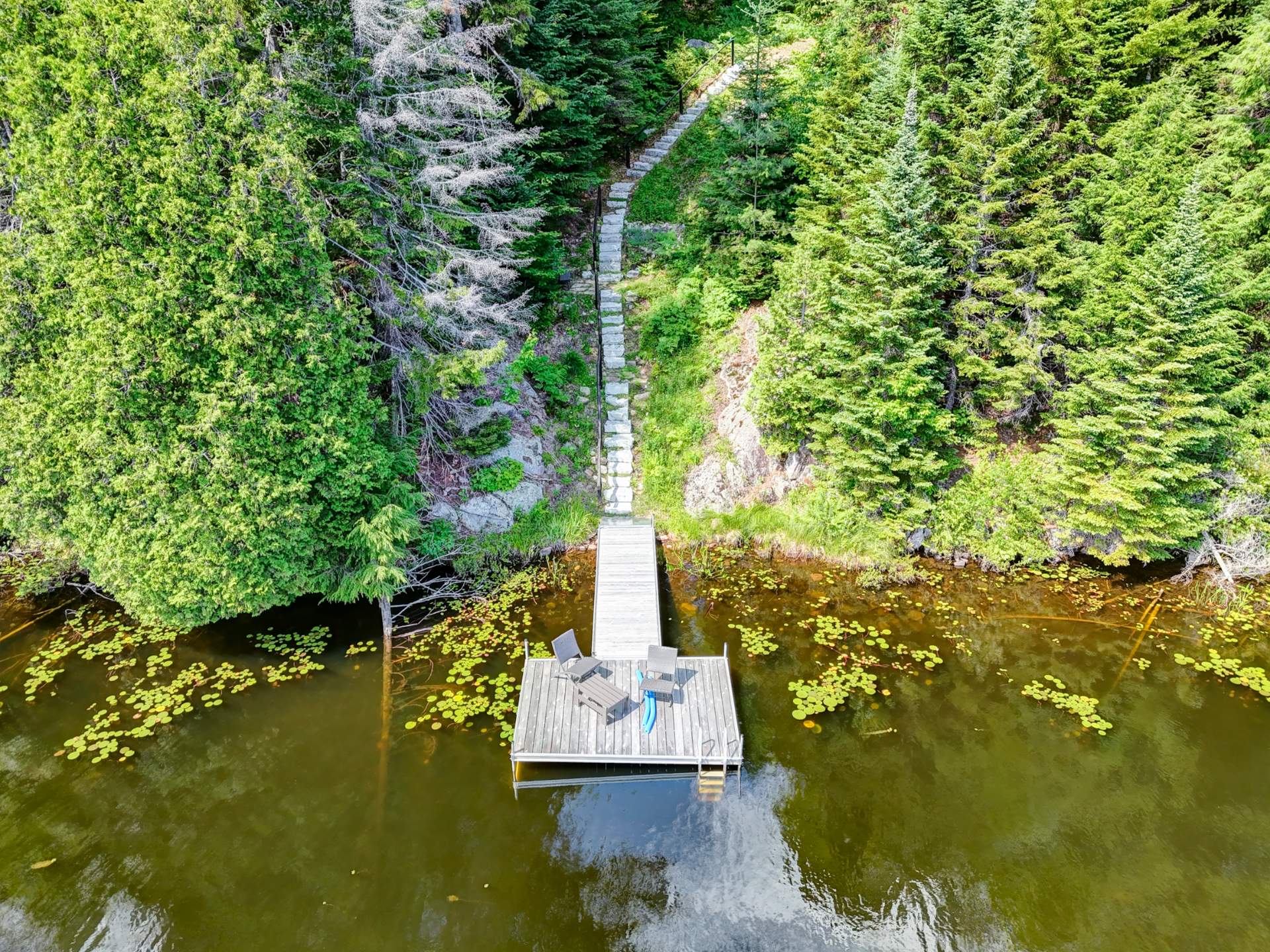Bord de l'eau