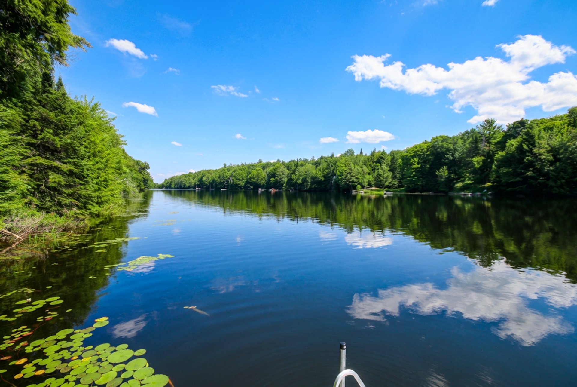 Bord de l'eau