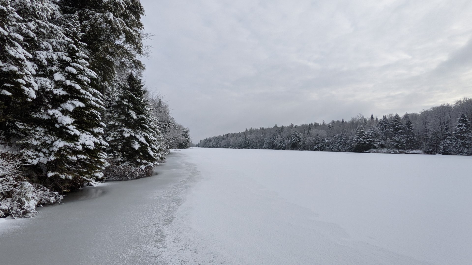 Bord de l'eau