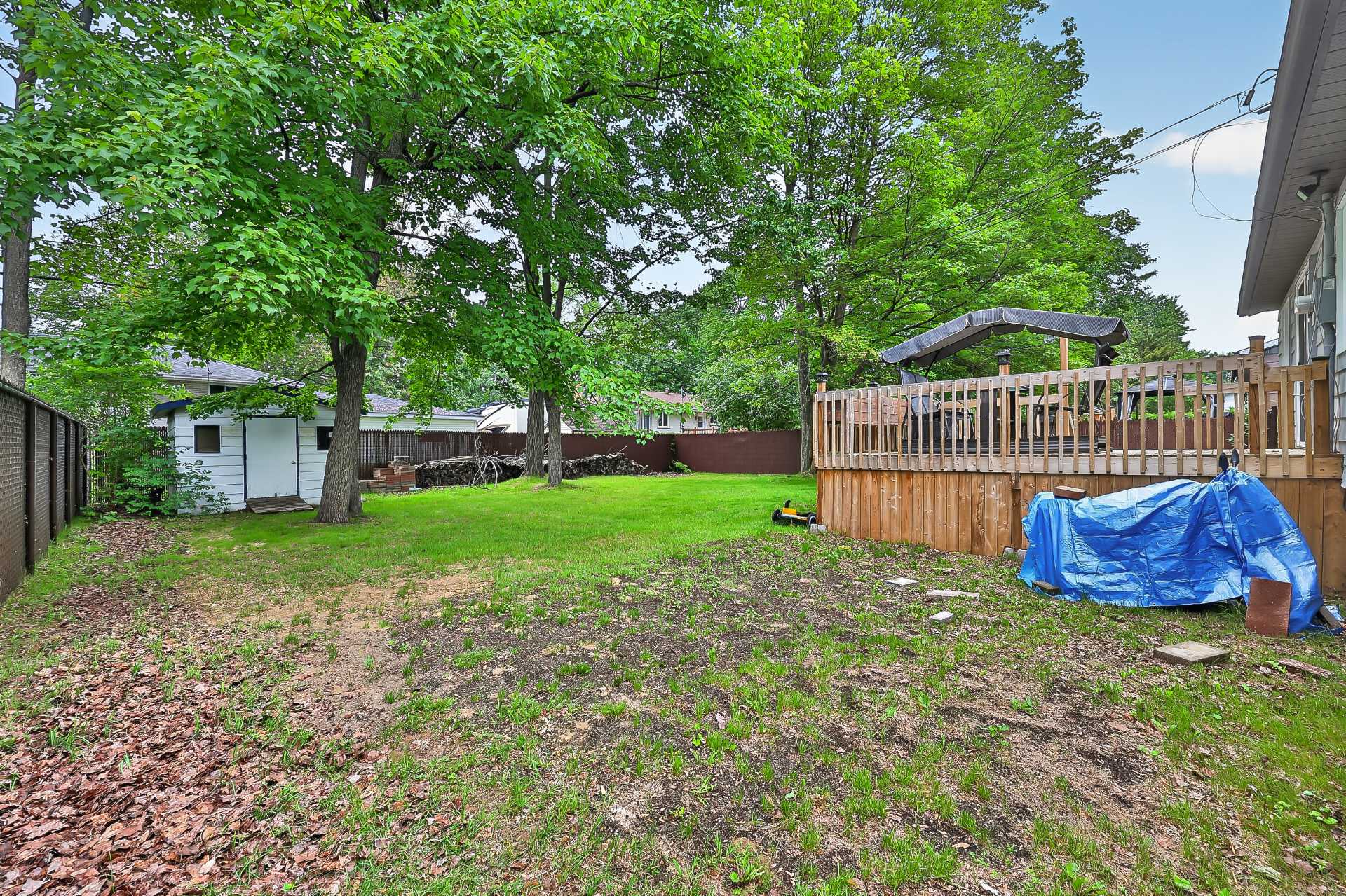 Backyard