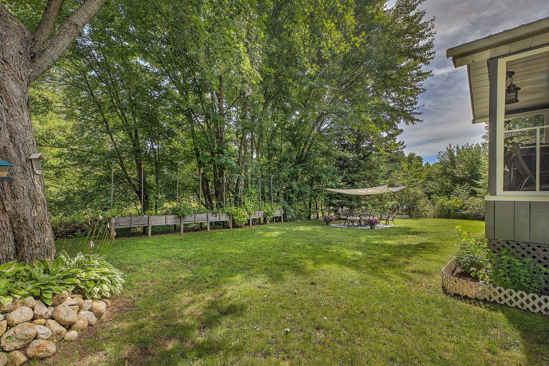 Backyard