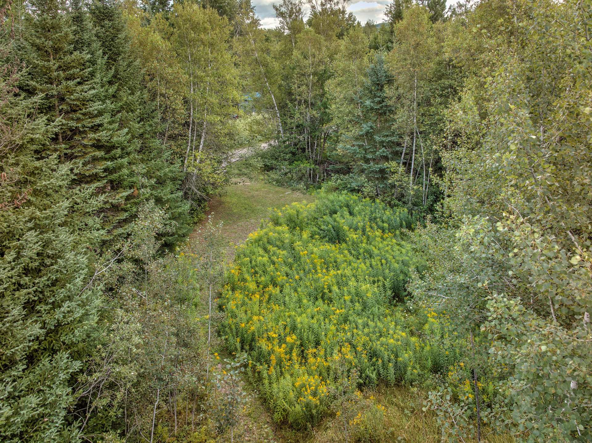 Land/Lot