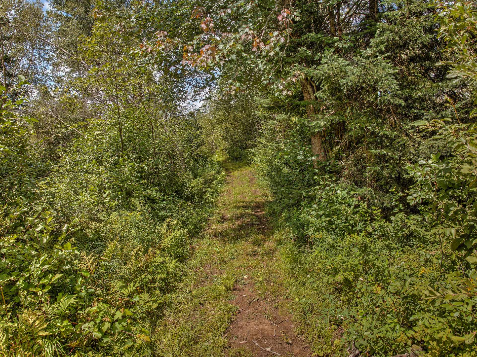 Land/Lot