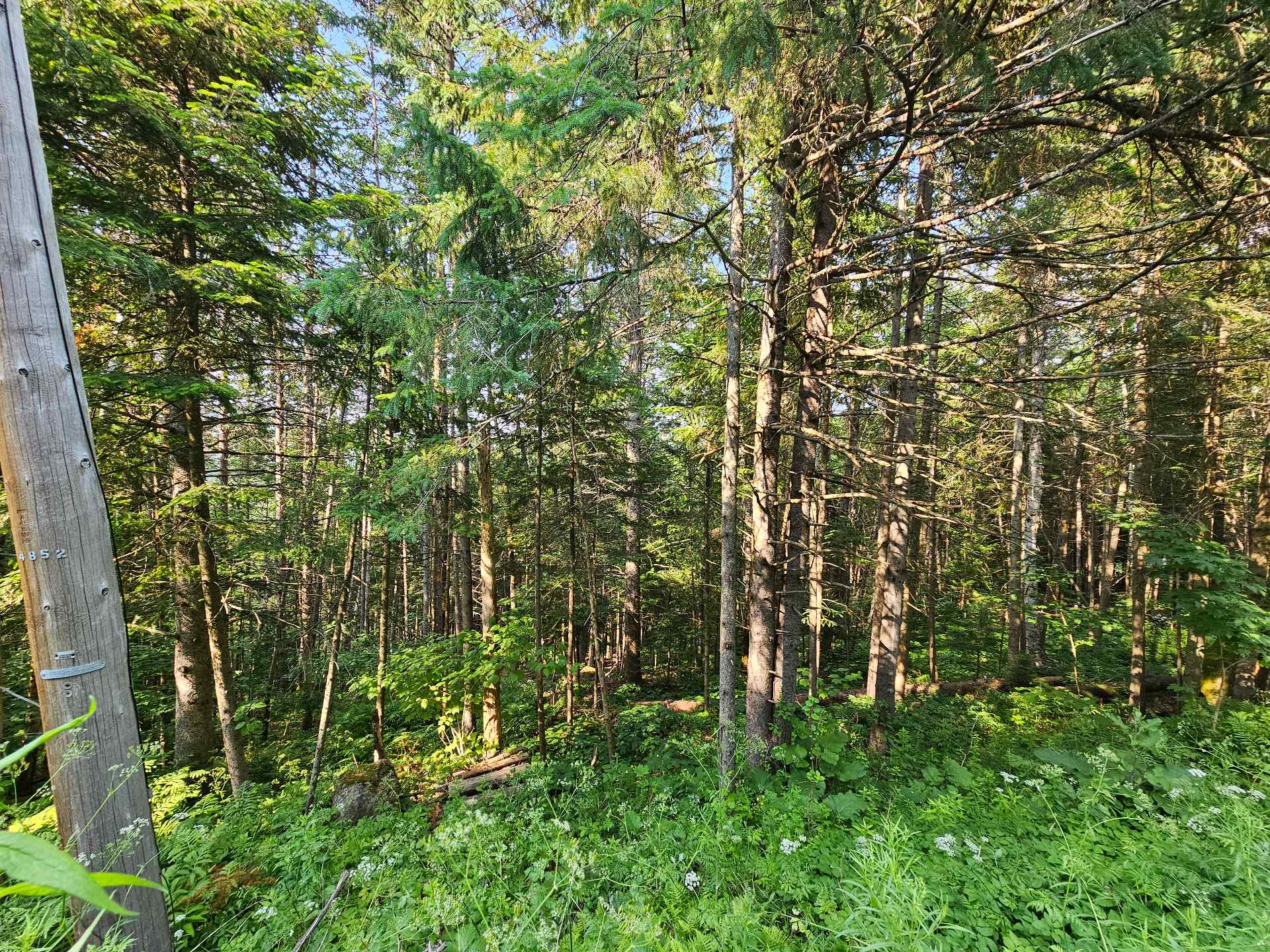 Land/Lot