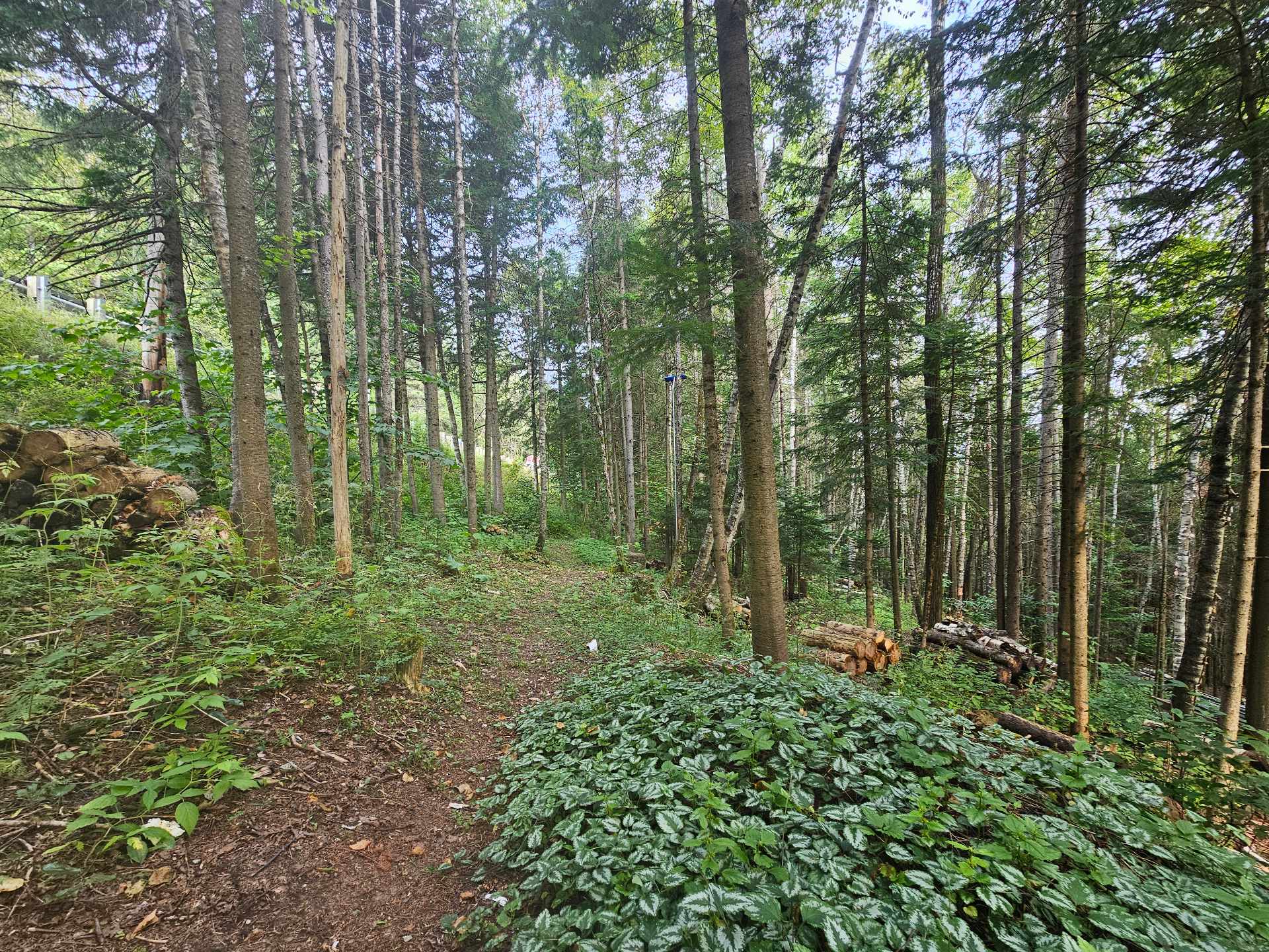 Land/Lot