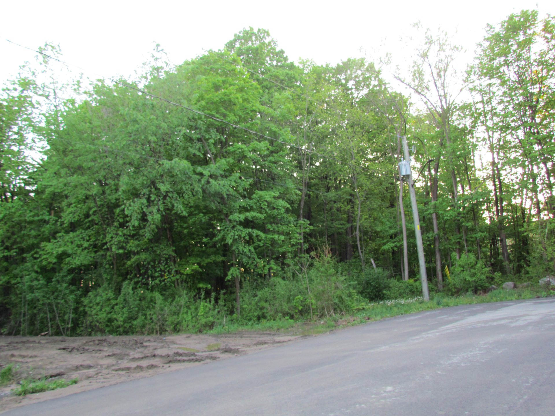 Land/Lot