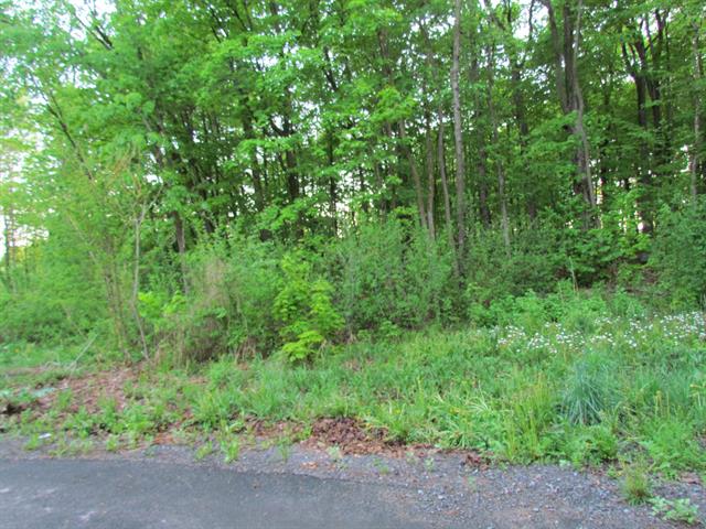 Land/Lot