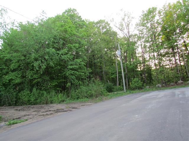 Land/Lot