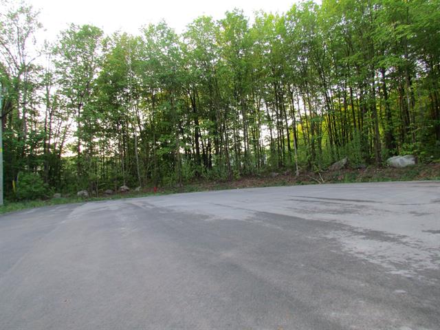 Overall View