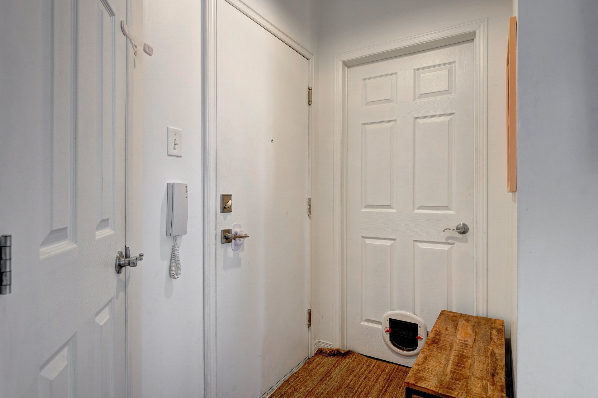 Hall d'entrée/Vestibule