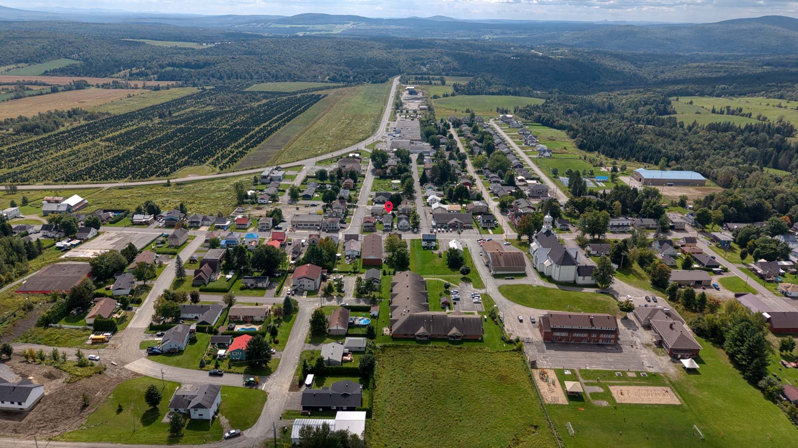 Overall View