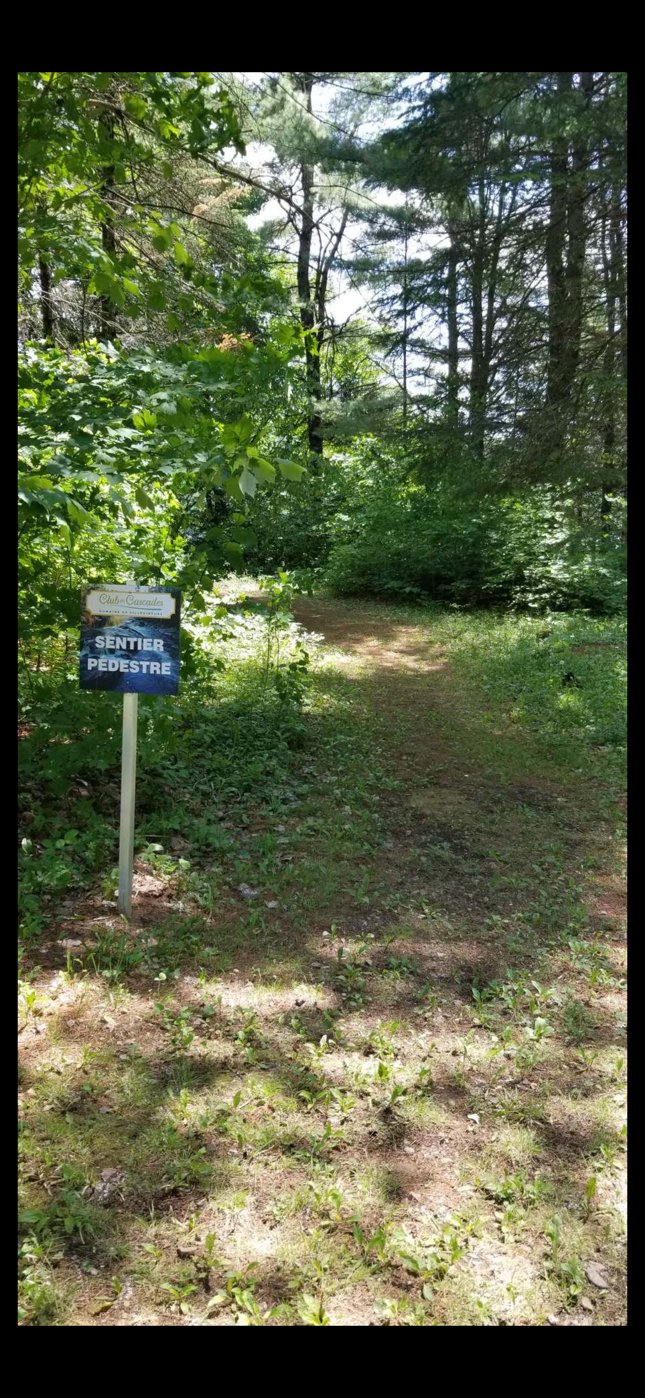 Accès au plan d'eau