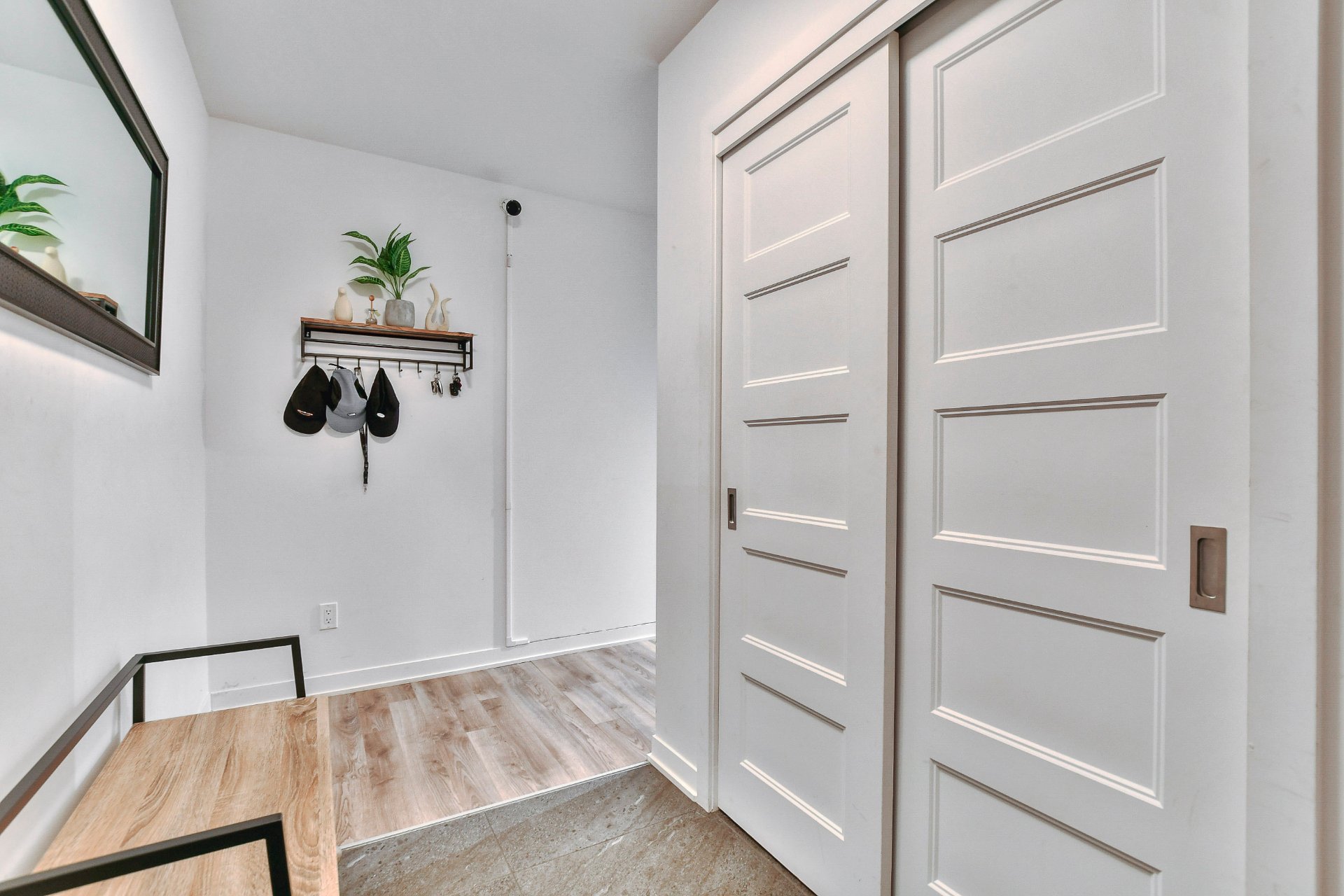 Hall d'entrée/Vestibule