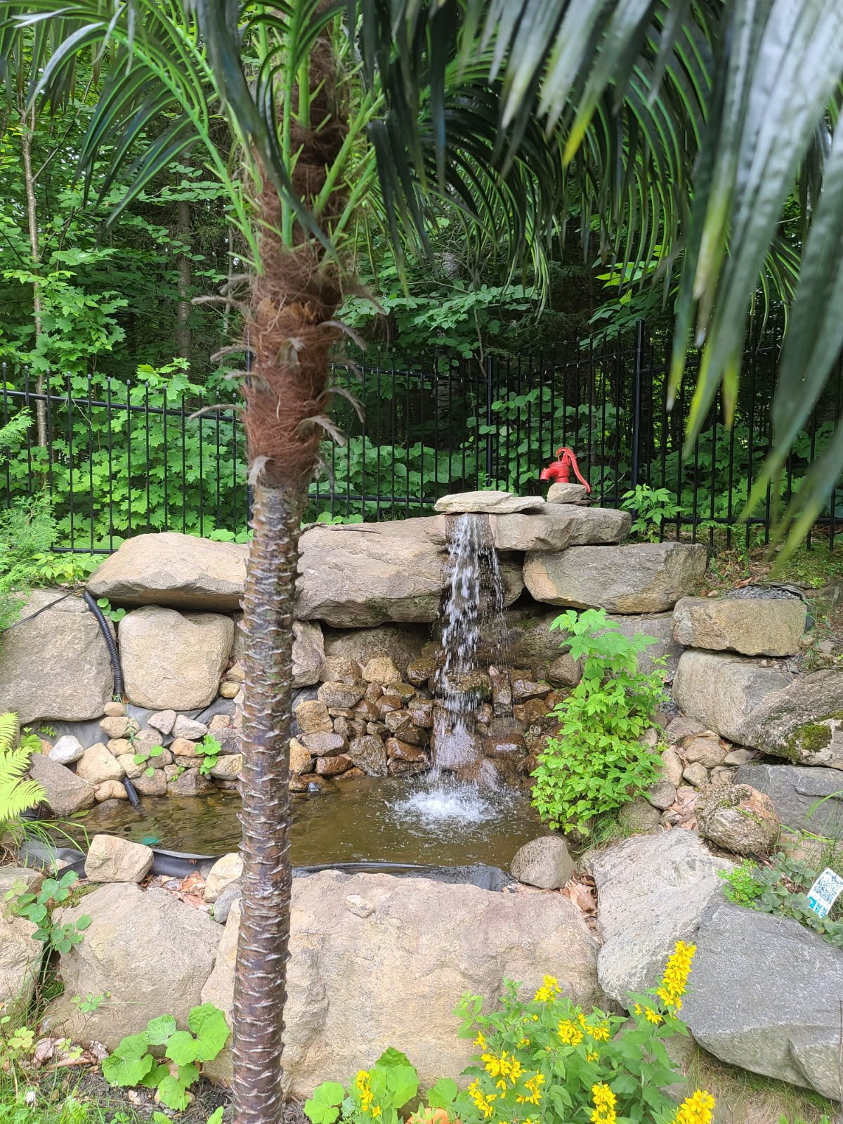 Chute d'eau l'été