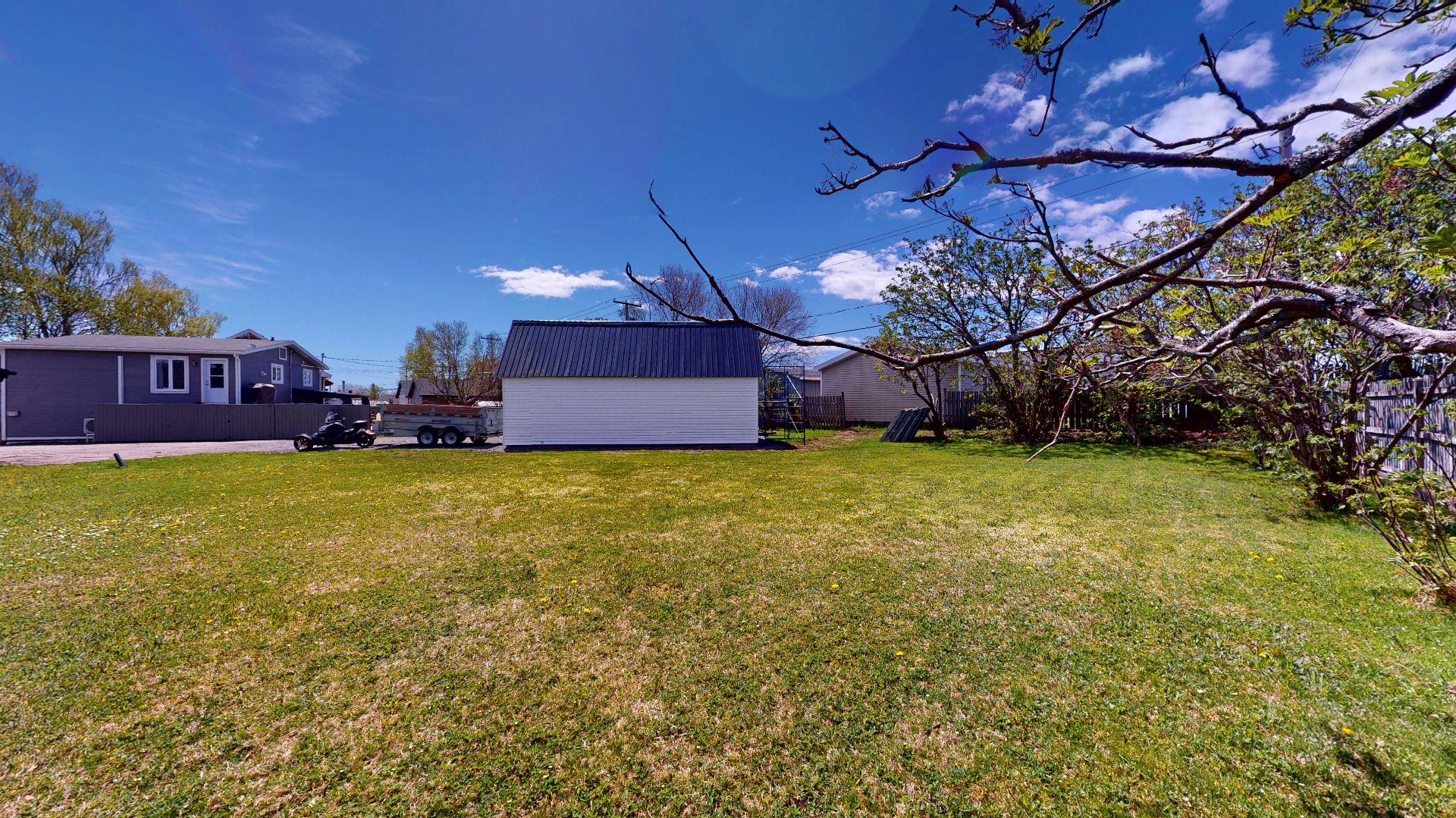 Backyard