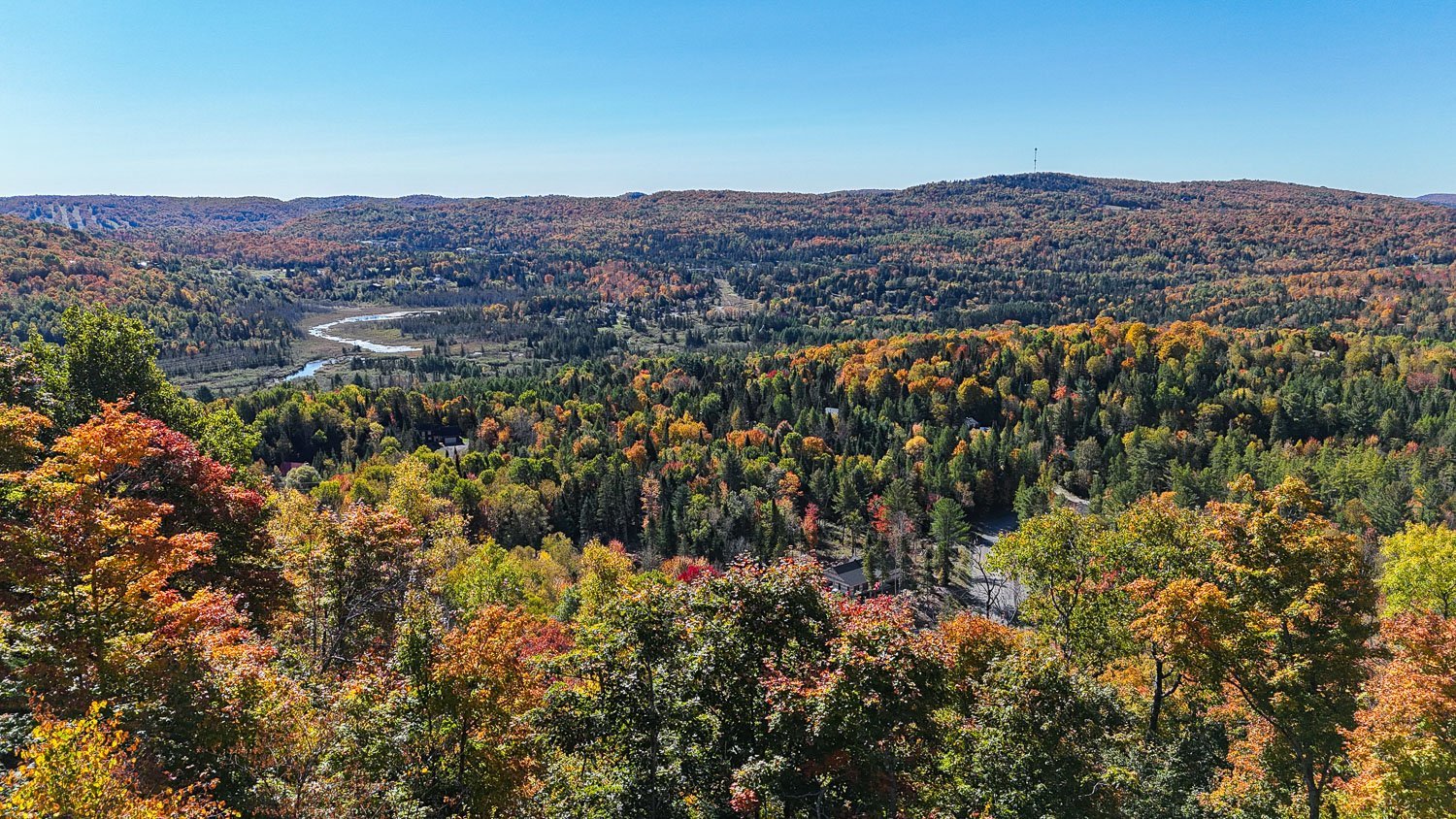 Vue