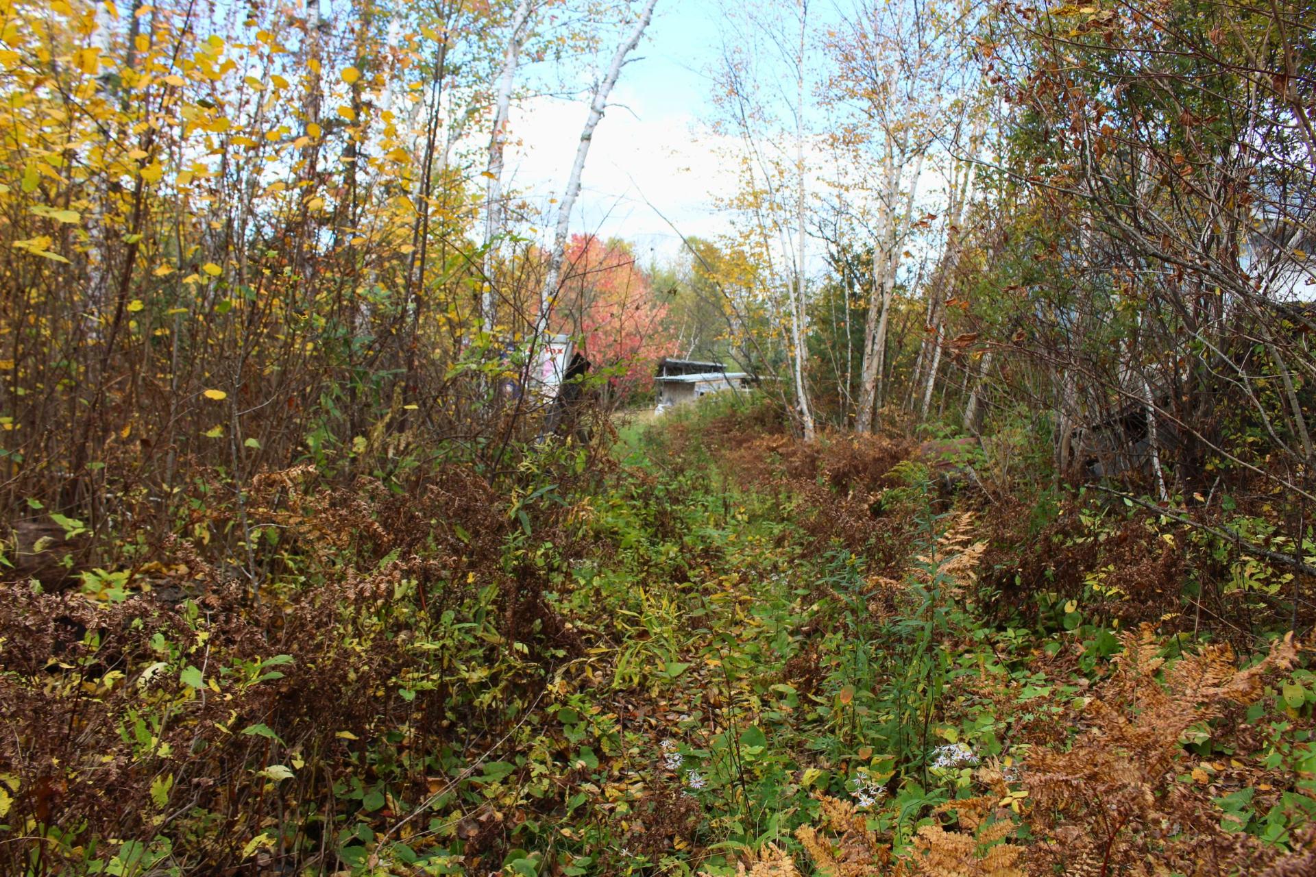 Chemin d'accès
