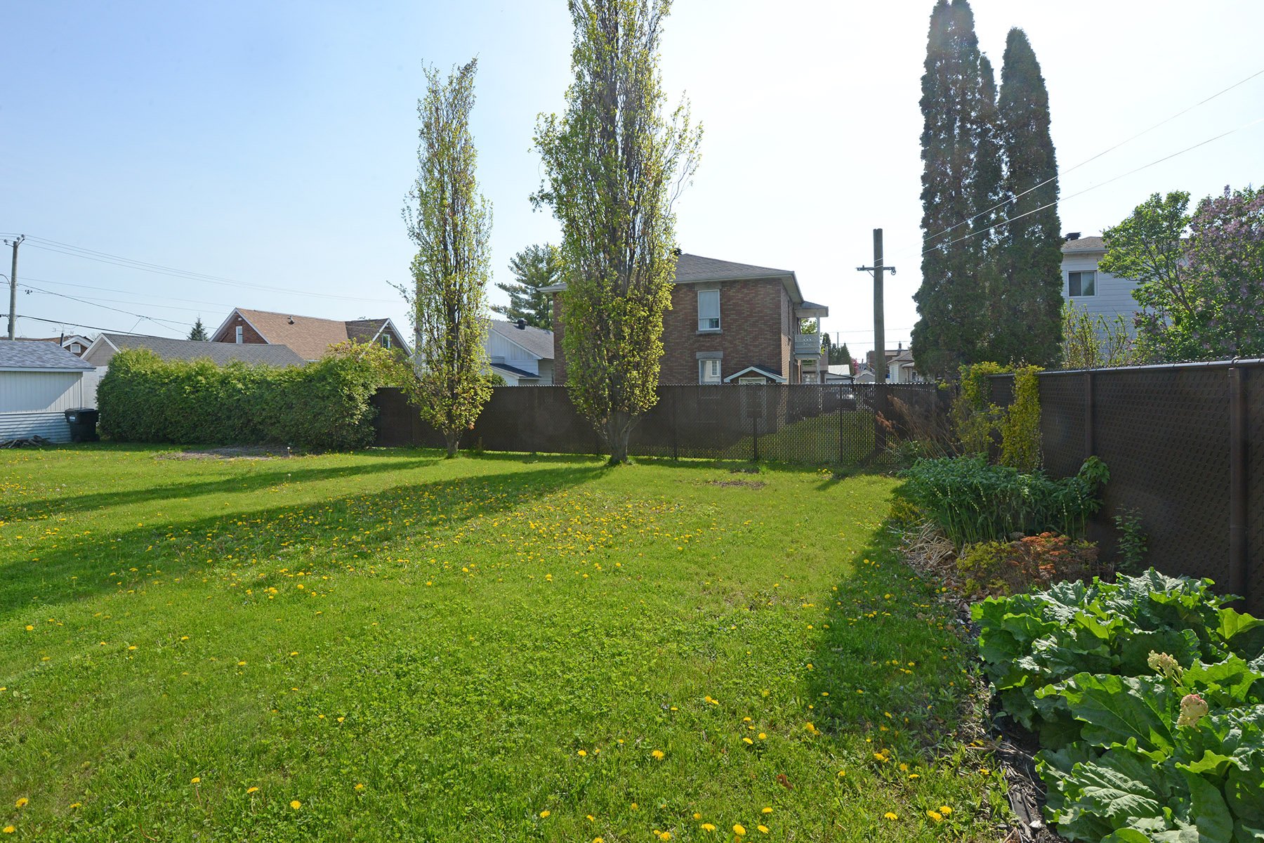 Backyard