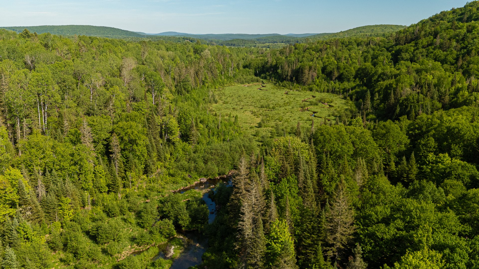 Aerial photo