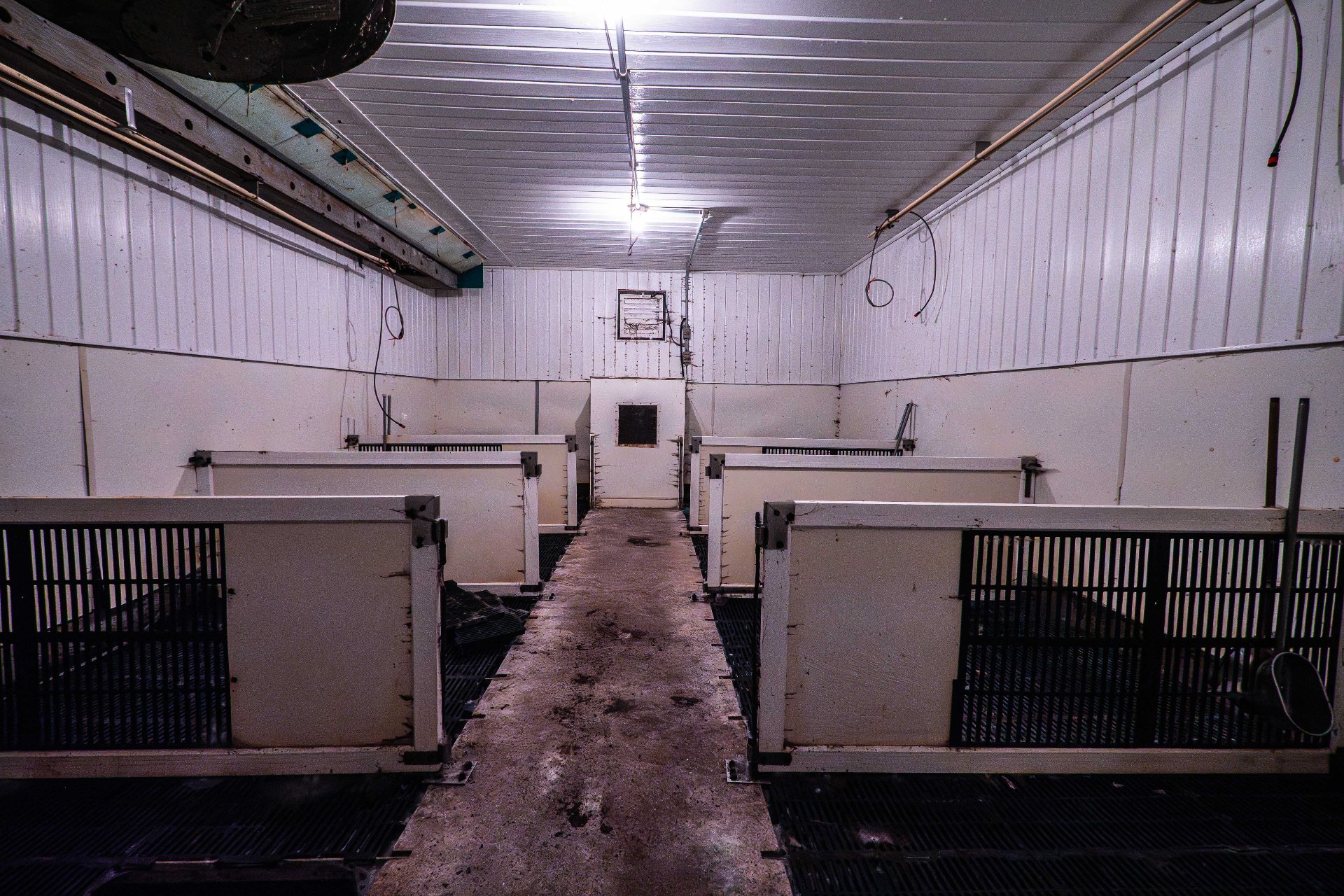 Porcherie intérieur