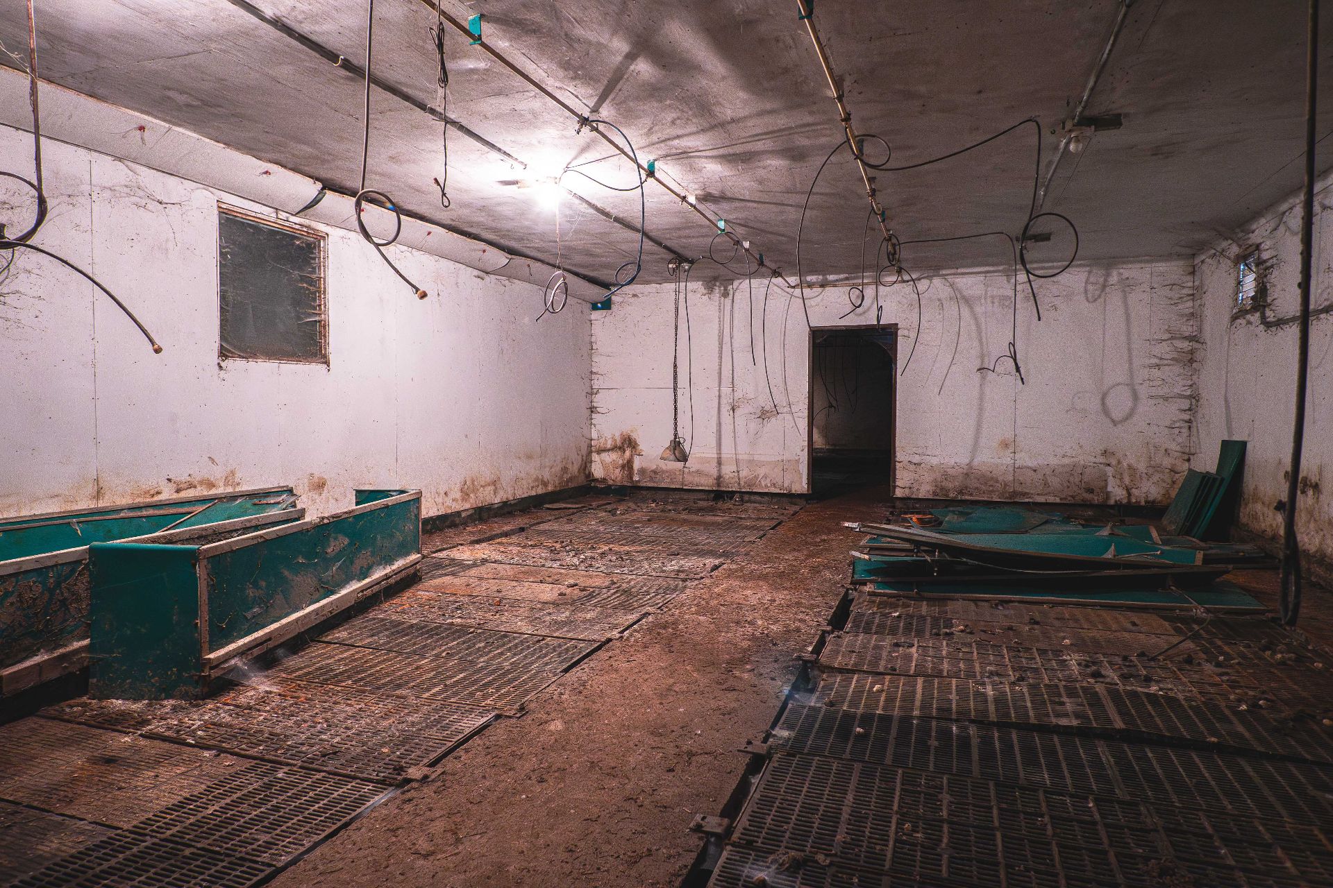 Porcherie intérieur