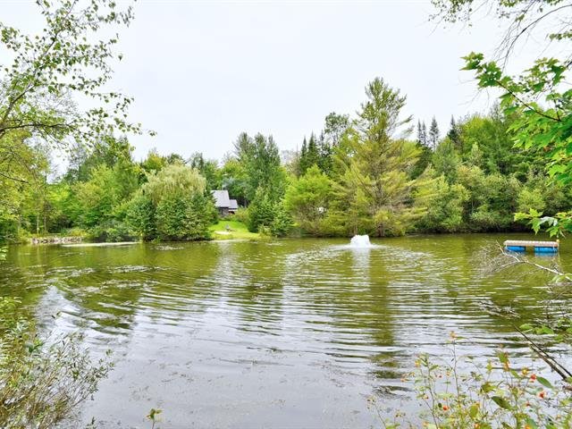 Bord de l'eau