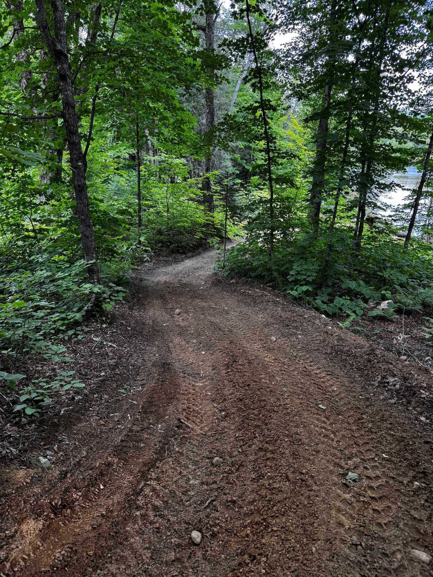 Chemin pour se rendre au Réservoir