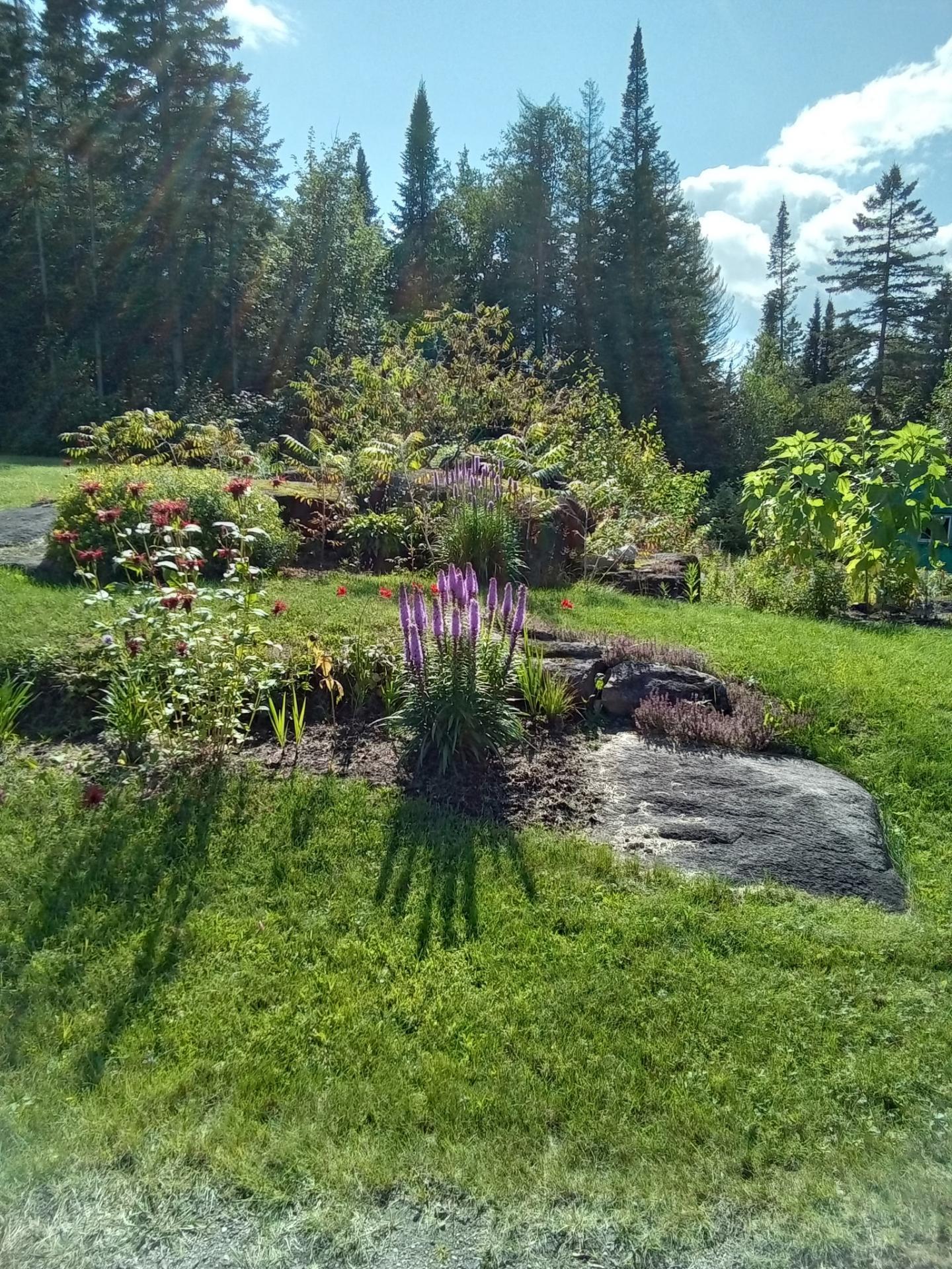Jardin