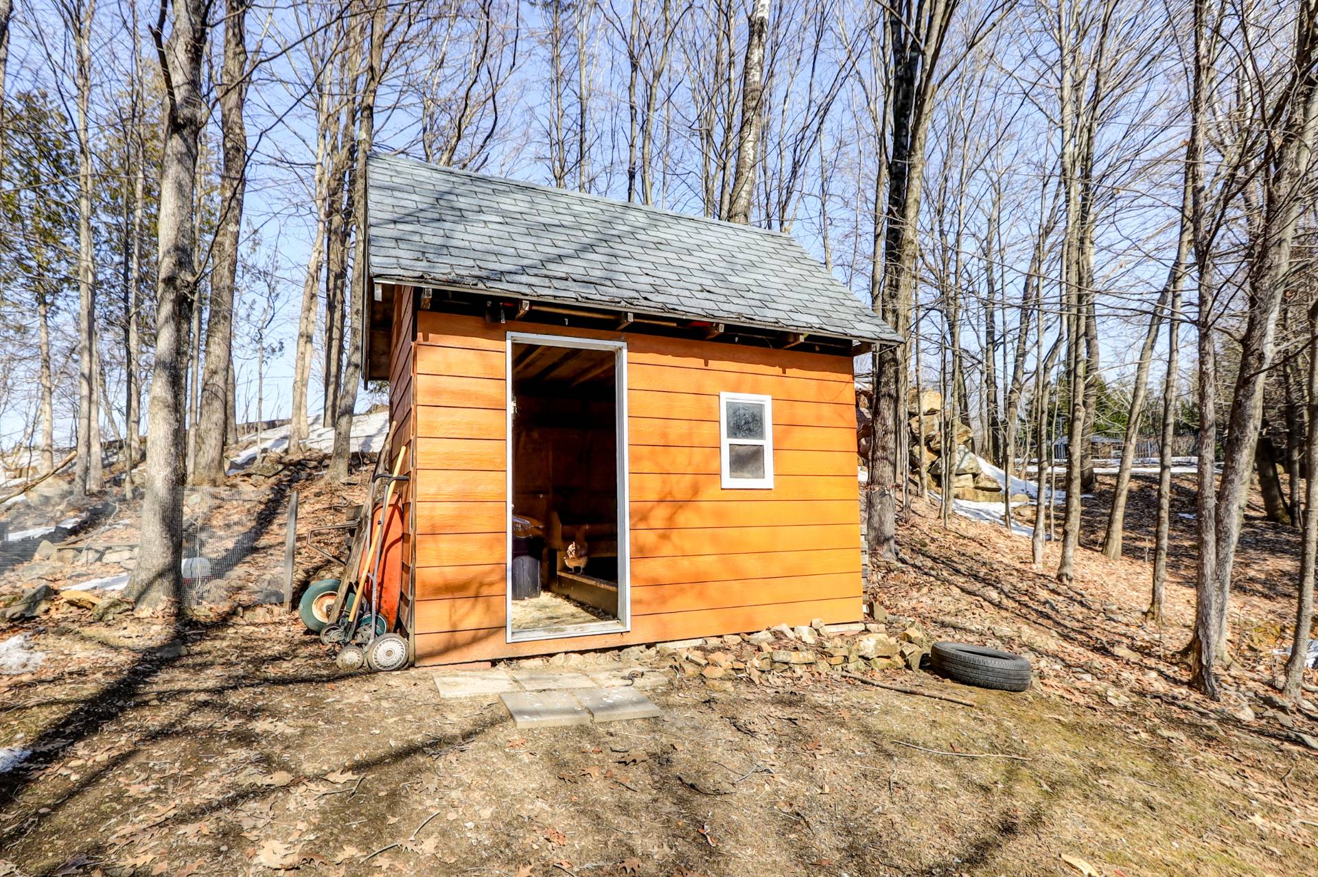 Shed