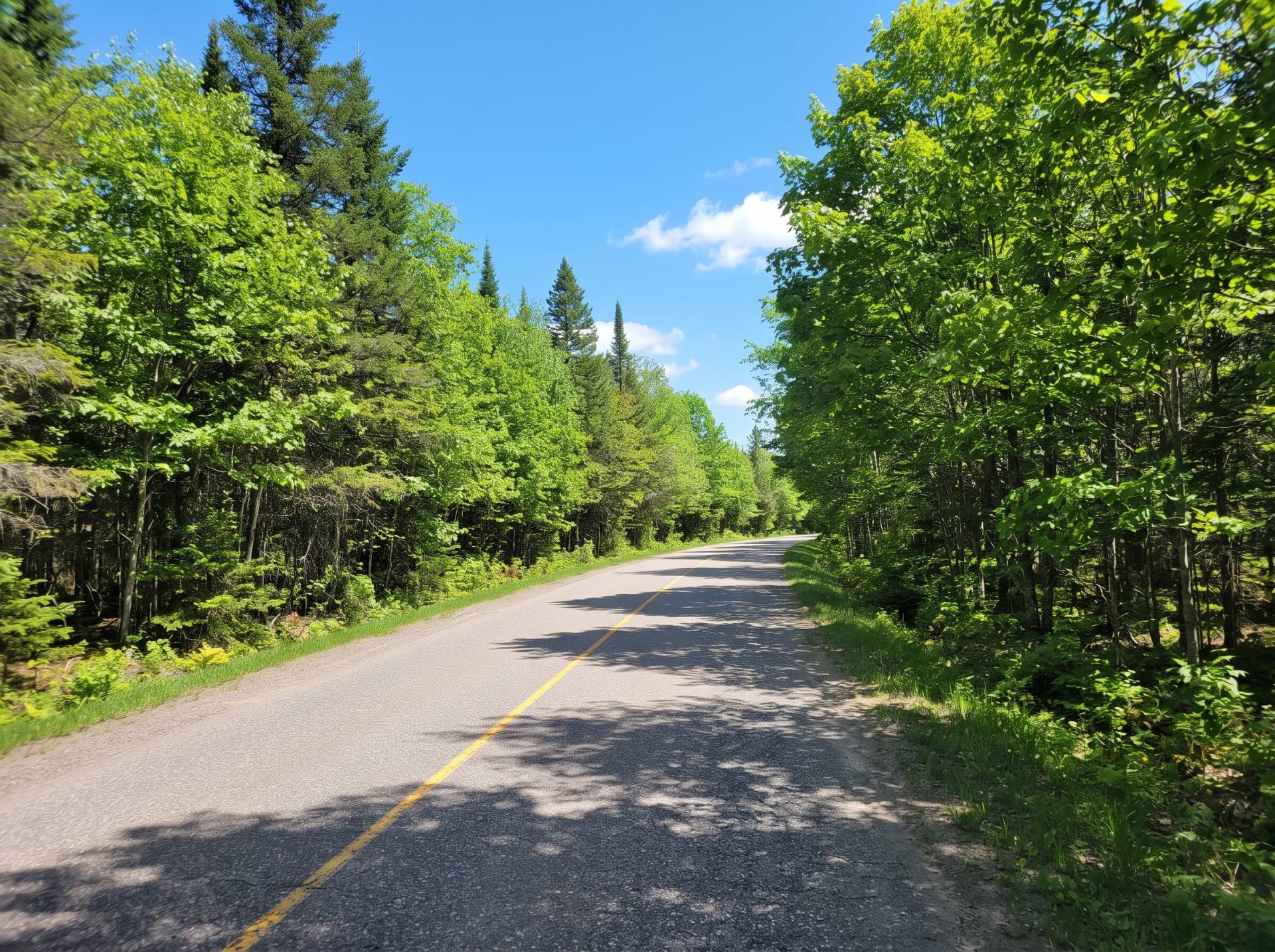 Terre/Terrain