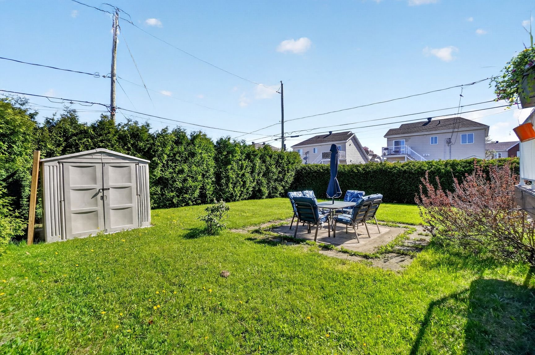Backyard