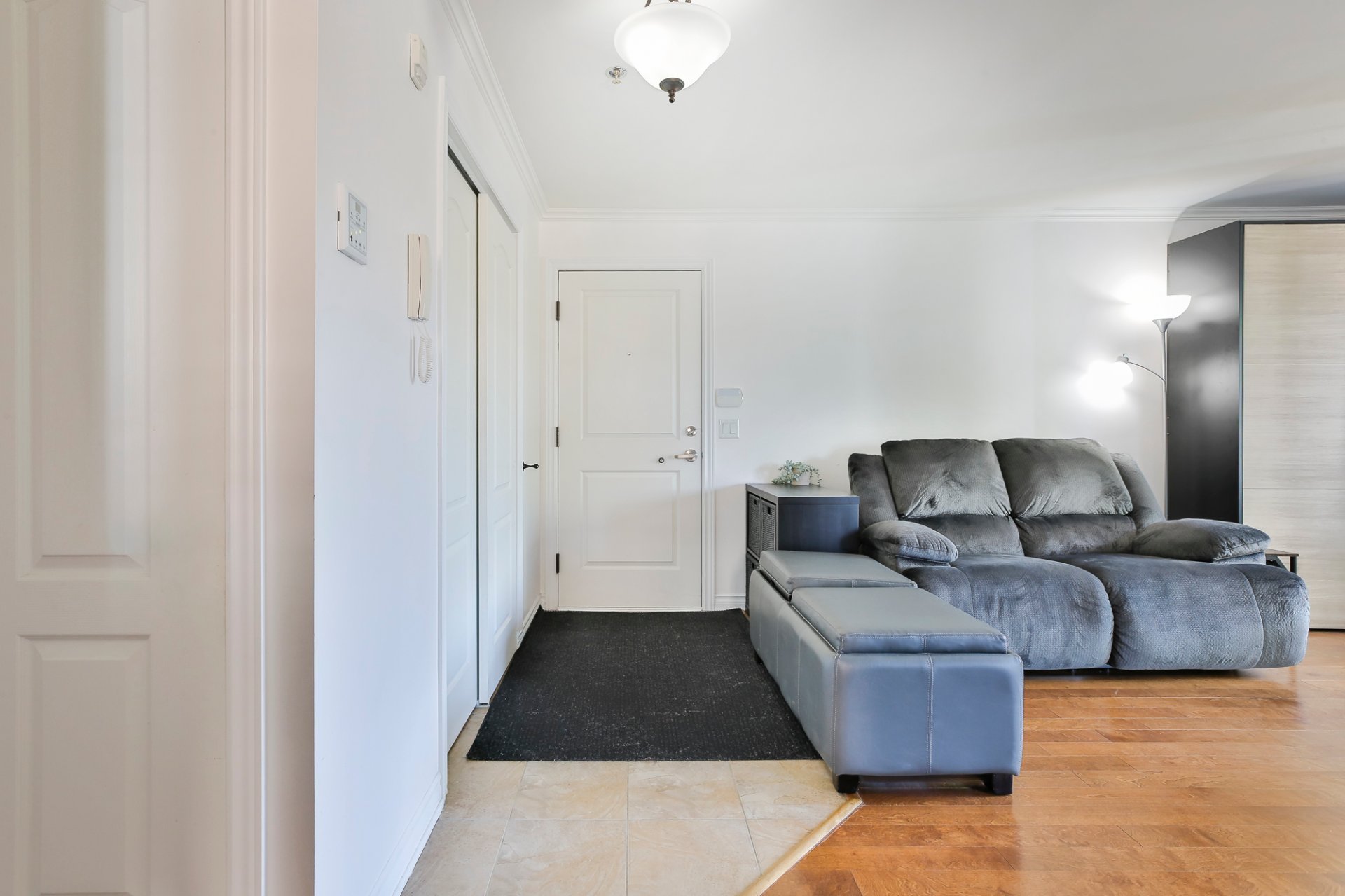 Hall d'entrée/Vestibule