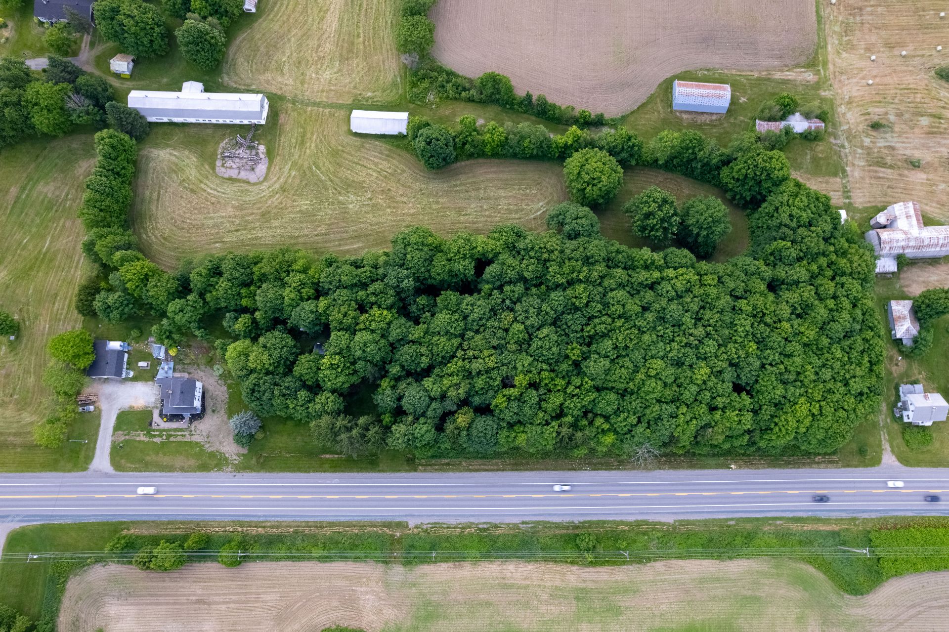 Aerial photo