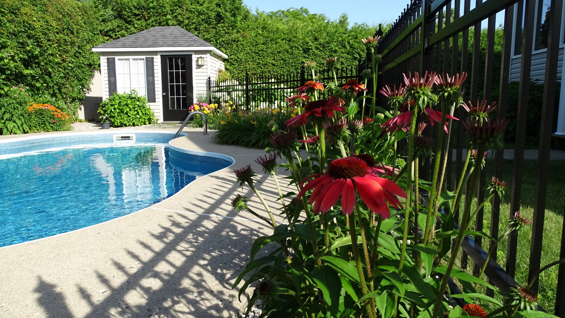 Piscine