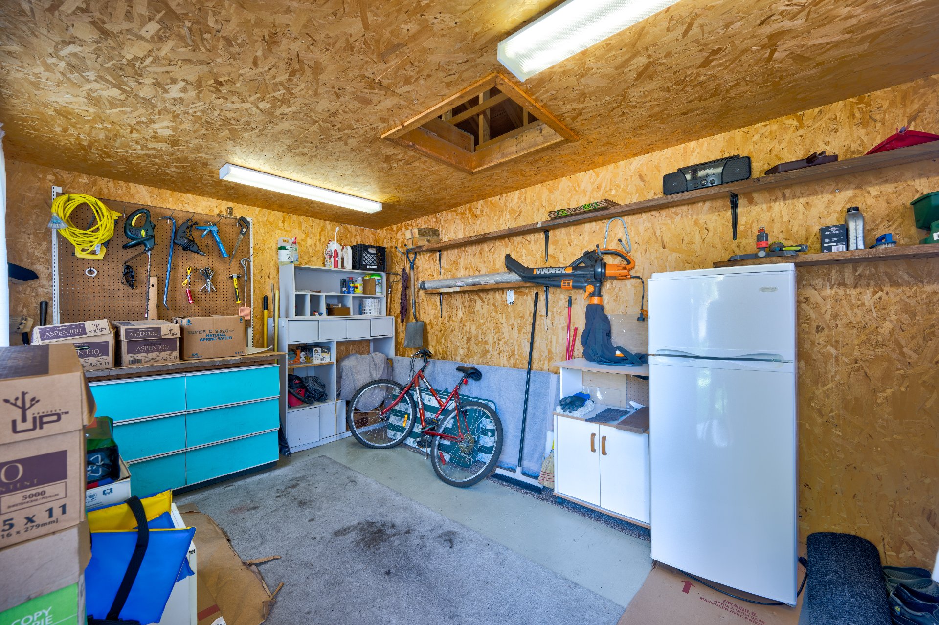 Shed
