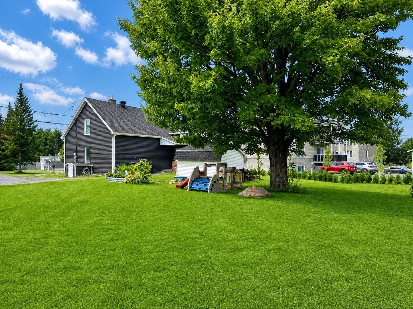 Backyard