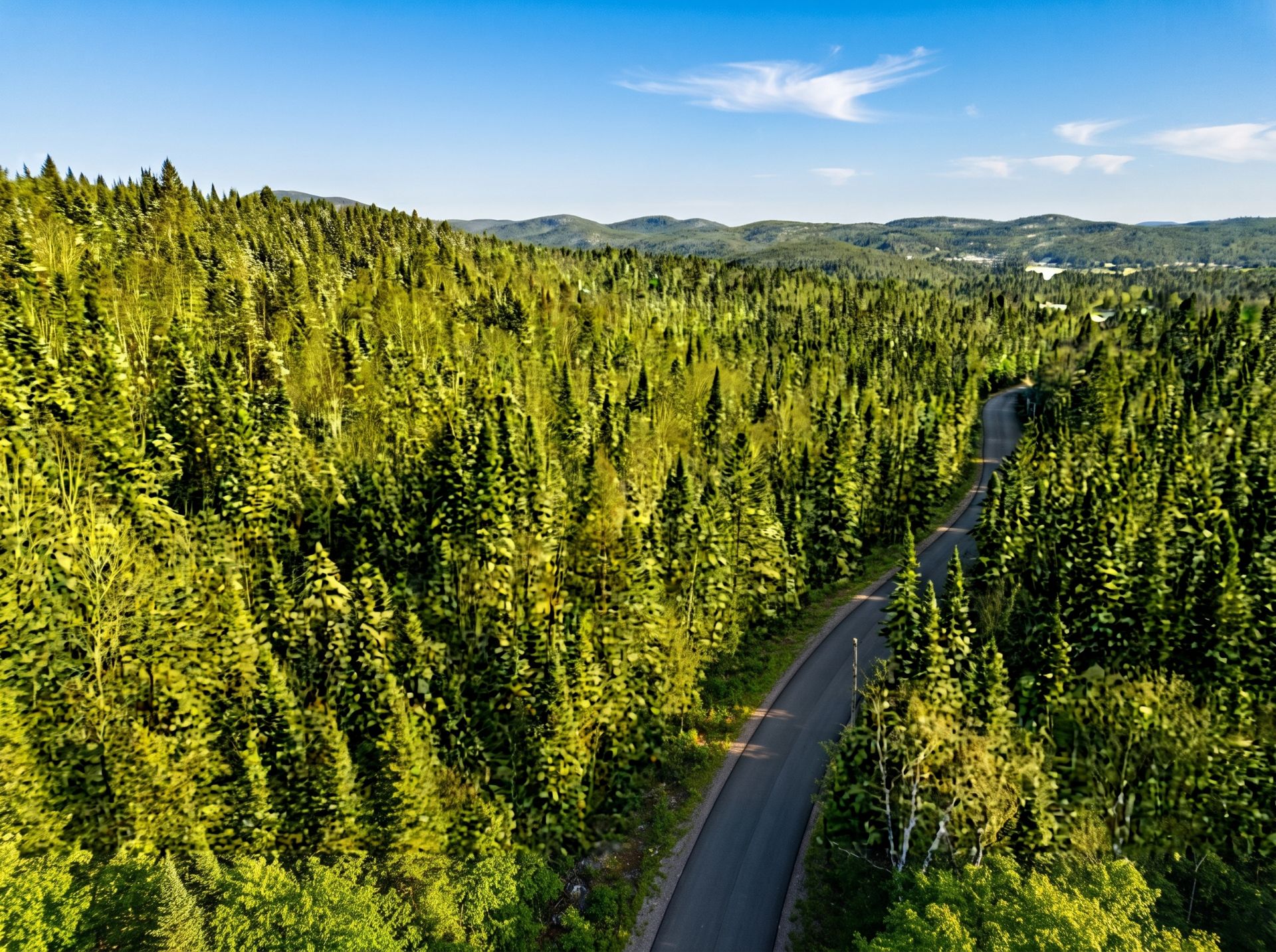 Aerial photo
