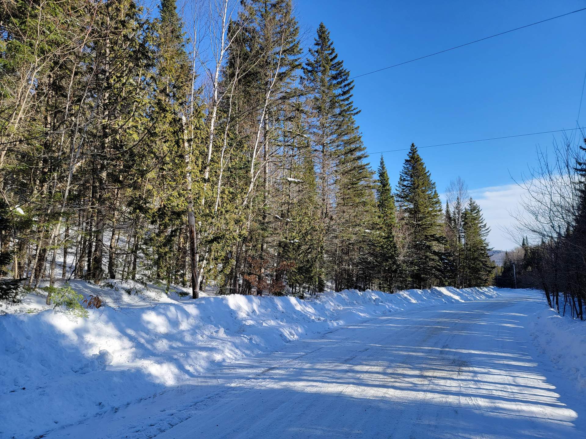 Land/Lot