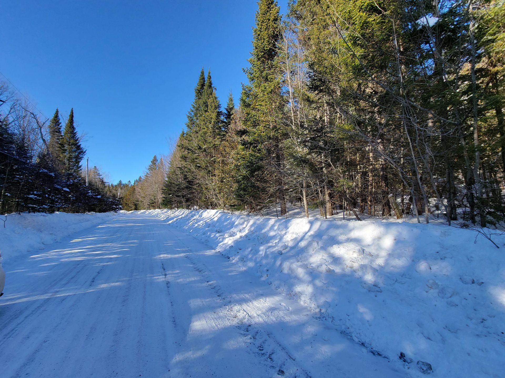 Land/Lot