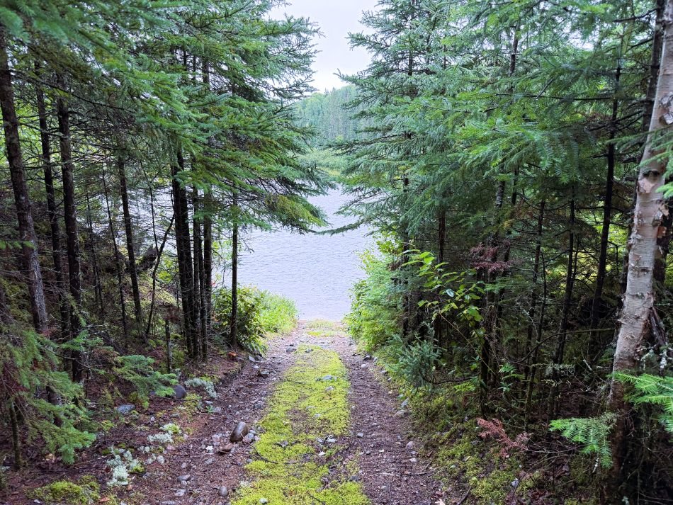 Other